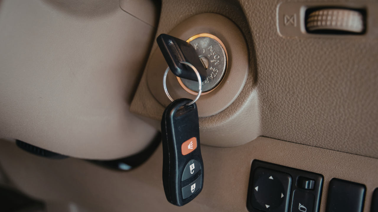 B2ap3 Large 82 B2ap3 Large 82